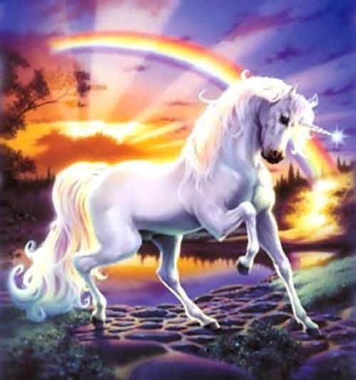 rainbowunicorn.jpg